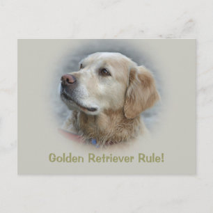 De Golden Retriever Rule! -Kaart Briefkaart