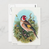 De Goldfinch Briefkaart (Voorkant / Achterkant)