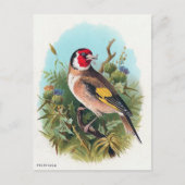 De Goldfinch Briefkaart (Voorkant)
