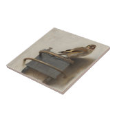 De Goldfinch Tegeltje (Zijkant)