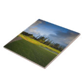 De golfbaan Makai in Princeville Tegeltje (Zijkant)