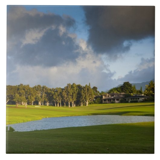 De golfbaan Makai in Princeville Tegeltje (Voorkant)