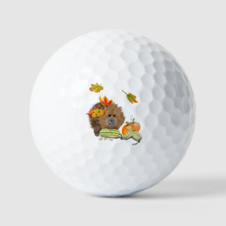 DE Golfball Herbst Igel mit Kürbis Golfballen