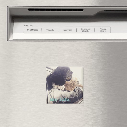 De Good Life Magnet (Insitu (Vaatwasser))