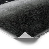 De Gooney Bird Poster (Hoek)