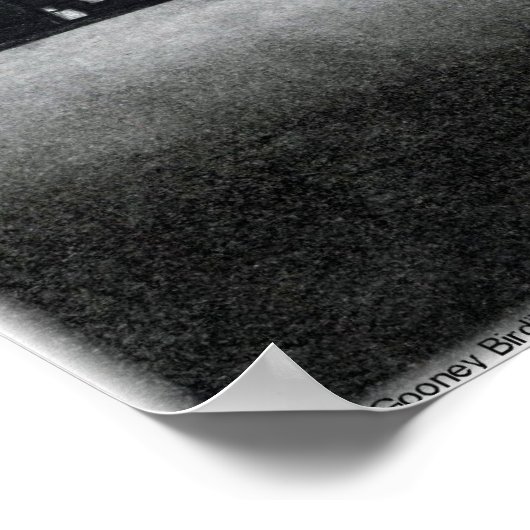 De Gooney Bird Poster (Hoek)