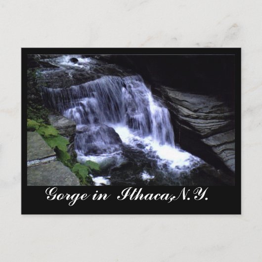 DE GORGEN VAN ITHACA, N.J. briefkaart (Voorkant)
