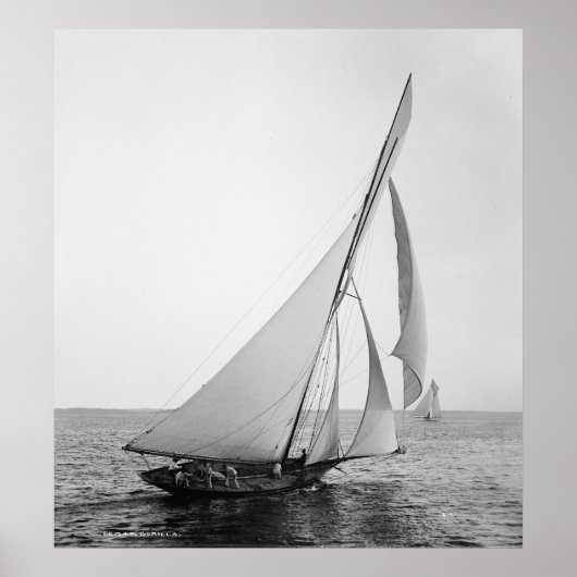 De Gorilla Poster (Voorkant)