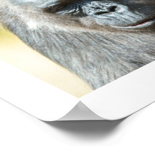 De Gorilla Troop Poster (Hoek)