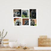 De Gorilla Troop Poster (Keuken)