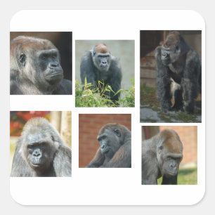 De Gorilla Troop Vierkante Sticker