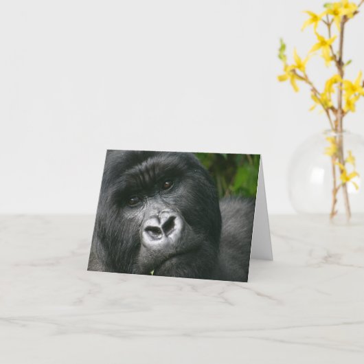 De Gorilla van de berg Kaart (Gele Bloem)