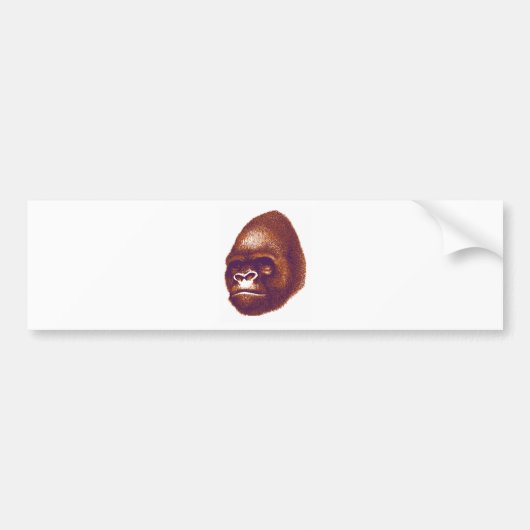 DE GORILLAS GLORY BUMPERSTICKER (Voorkant)