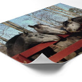 De Gossip Corner Poster (Hoek)