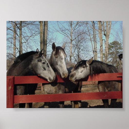 De Gossip Corner Poster (Voorkant)