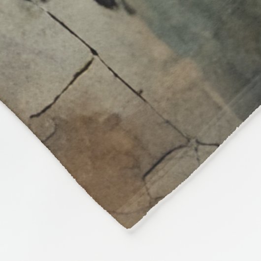 De Gotische Pop en Haar Huisdier Uil Fleece Deken (Hoek)