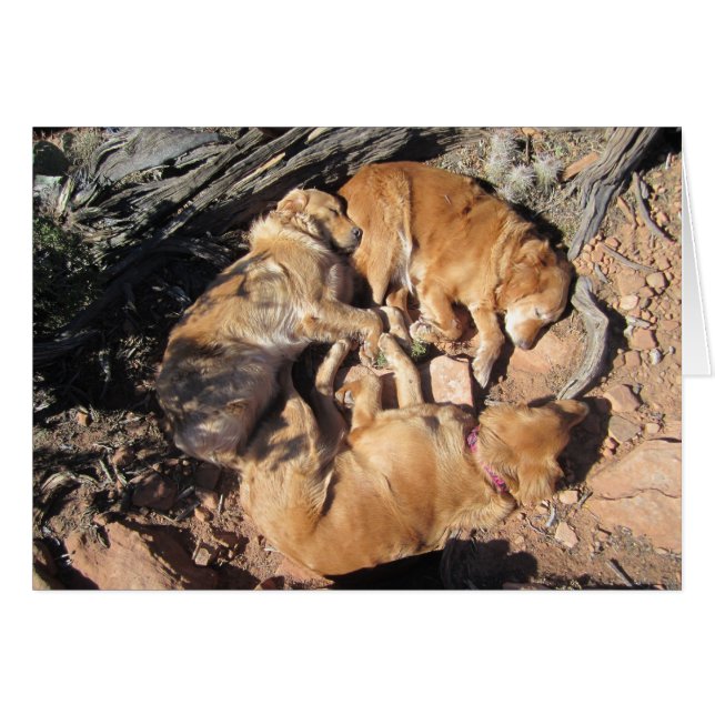 De gouden driehoek (Voorkant Horizontaal)