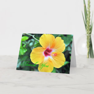 De gouden Hibiscus dankt u Bedankkaart