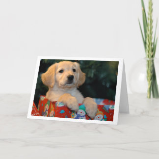 De gouden Kerstkaart van de Gift van het Puppy Feestdagen Kaart