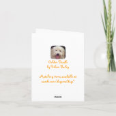 De gouden Krabbel kijkt Kaarten (Achterkant)