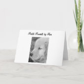 De gouden Lege Kaart van de Leeuw van Halloween (Achterkant)