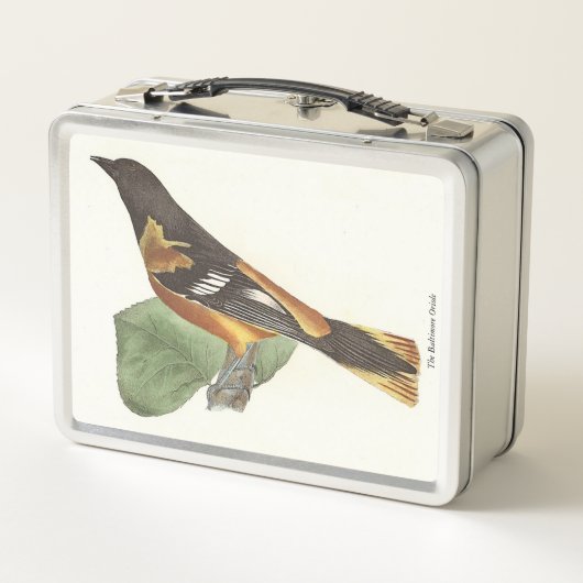 De gouden of Baltimore Oriole (Icterus galbula) (Achterkant)