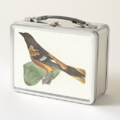 De gouden of Baltimore Oriole (Icterus galbula) (Voorkant)
