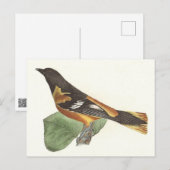 De gouden of Baltimore Oriole (Icterus galbula) Briefkaart (Voorkant / Achterkant)