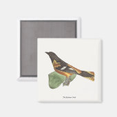 De gouden of Baltimore Oriole (Icterus galbula) Magneet (Voorkant / Achterkant)