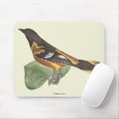De gouden of Baltimore Oriole (Icterus galbula) Muismat (Met muis)