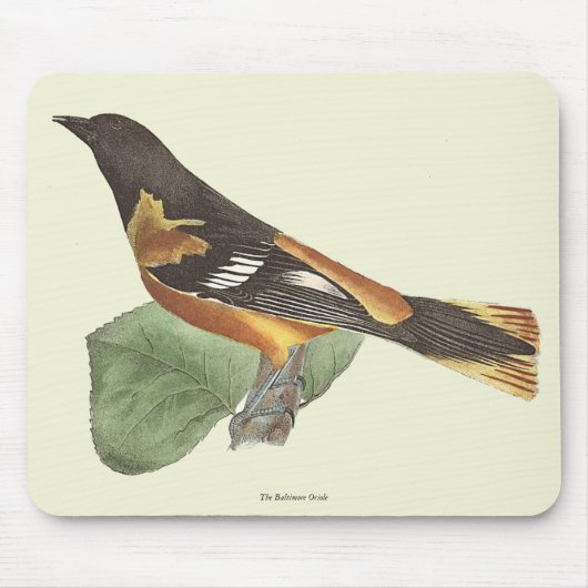 De gouden of Baltimore Oriole (Icterus galbula) Muismat (Voorkant)