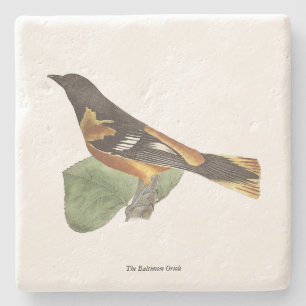 De gouden of Baltimore Oriole (Icterus galbula) Stenen Onderzetter
