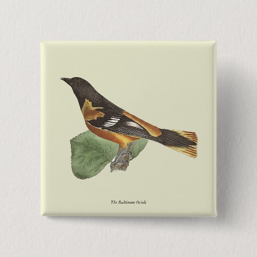 De gouden of Baltimore Oriole (Icterus galbula) Vierkante Button 5,1 Cm (Voorkant)