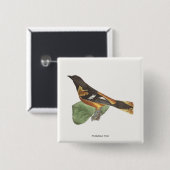 De gouden of Baltimore Oriole (Icterus galbula) Vierkante Button 5,1 Cm (Voorkant /achterkant)