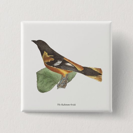 De gouden of Baltimore Oriole (Icterus galbula) Vierkante Button 5,1 Cm (Voorkant)