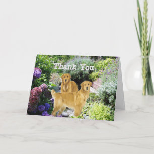 De gouden Retrievers danken u de Kaart van