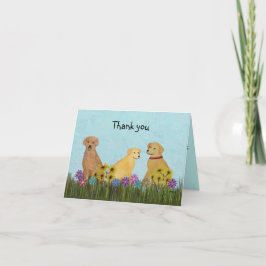 De gouden Retrievers danken u Kaarten