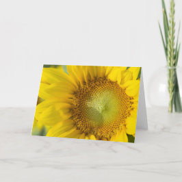 De Gouden Schaduw van de zonnebloem Kaart