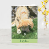 De gouden Sympathie van de Wens van de Paardebloem Kaart (Gele Bloem)