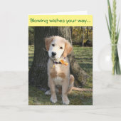 De gouden Verjaardag van het Vuurrad Kaart (Voorkant)