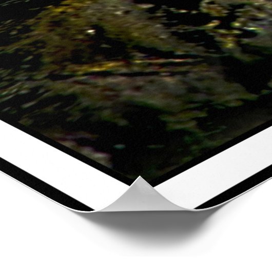 De goudkoorts op de Rocks Poster (Hoek)