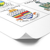 De graafschappen van Ierland Poster (Hoek)