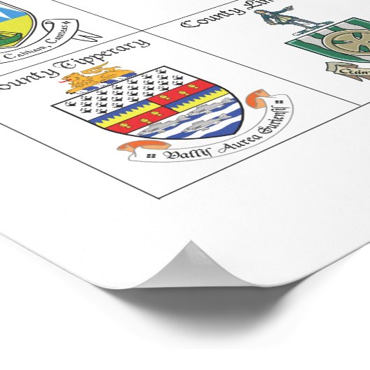 De graafschappen van Ierland Poster (Hoek)