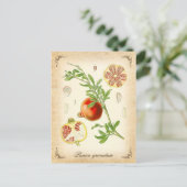 De granaatappel -  illustratie briefkaart (Staand voorkant)