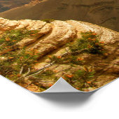 De Grand Canyon Poster (Hoek)