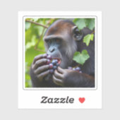 De "GrAPE" Sticker (Vel)