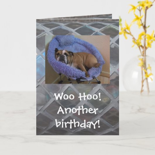 De grappige Engelse Kaart van de Verjaardag van de (Gele Bloem)