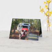 De grappige Gelukkige Kaart van de Verjaardag van (Gele Bloem)