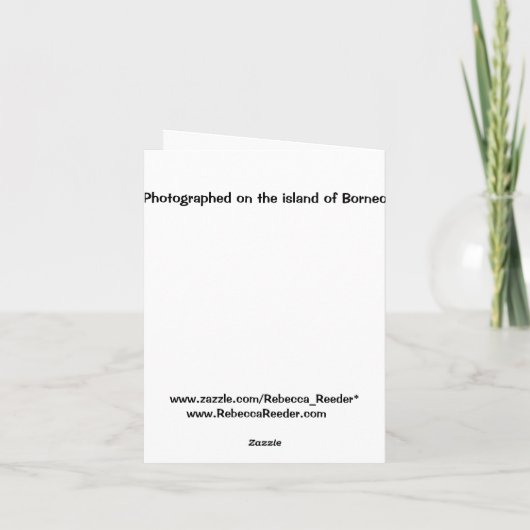 De grappige Gelukwensen van de Afstuderen van het Kaart (Achterkant)