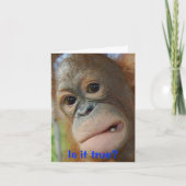 De grappige Gelukwensen van de Afstuderen van het Kaart (Voorkant)